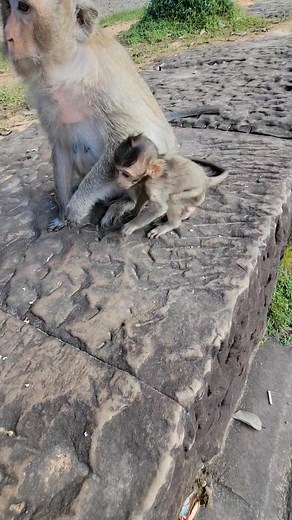 Gracie forage with mother | Hand Products