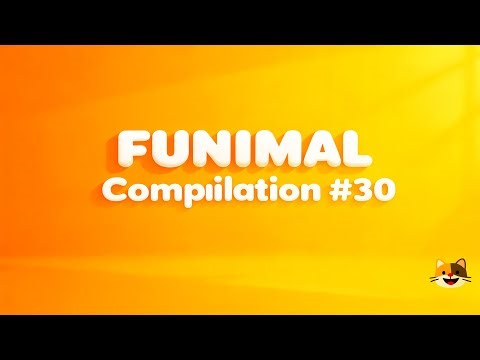 Animals Jumping Into Chaos 💦🐾😂 | FUNIMAL Compilation #30