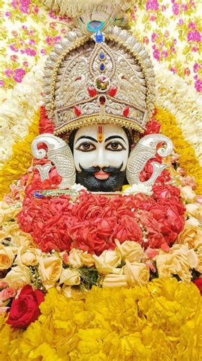 Shree shyam baba ji 🙏🌹#shyam #shreekhatushyam #trending #shorts #shortvideo #shanuhimachali