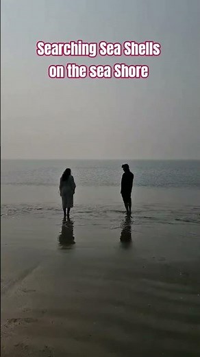 Sea Shells on the Sea Shore #wavesounds #seashell #bakkhali #shorts