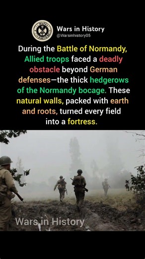 Hedgerow Hell: The Hidden Battlefield of Normandy #ww2