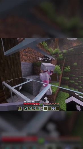 Remind me to never hit @Divi_smh🍉 again 😭 #Minecraft #pharolen #fyp #nextupsmp