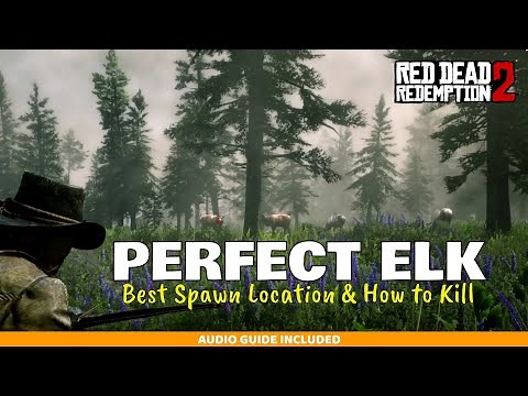 Perfect Elk Hunting - Idiots Guide to RDR2