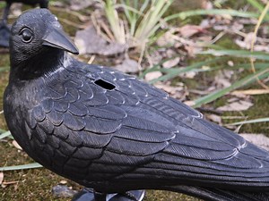 GUGULUZA Crow Decoys Full Body Plastic Crow Decoy for Hunting, Black Flocked Crow Decoy w/Feet Stake for Halloween Decor Yard Garden Decoration