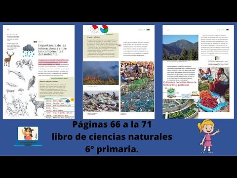 Páginas 66 a la 71 libro de ciencias naturales 6° primaria