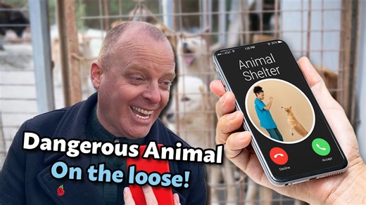 🤣 Prank Calling An Animal Shelter – You Won’t Believe Their Reactions!