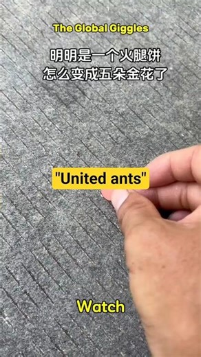 Teamwork-oriented ants