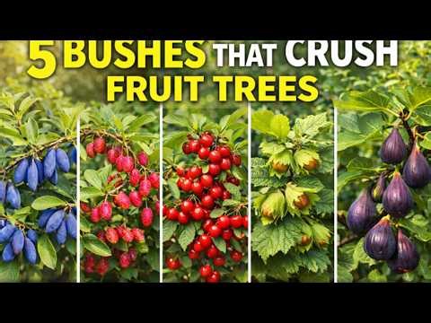 5 Forgotten Bushes That Beat Every Fruit Tree