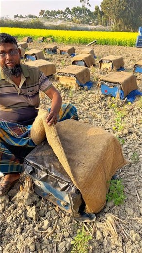 Magic box. #agriculture #farmers