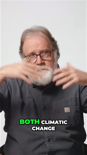 Earth has experienced mass extinctions where a large percentage of species disappeared rapidly. Massive volcanism and asteroid impacts caused rapid climate and environmental changes, wiping out many species. Each time, life rebounded differently. Have you heard about these extinction events? #fypシ゚ #viralreelsシ #MassExtinction #Volcanism #Asteroid #ClimateChange #EnvironmentalChange | Mindboost