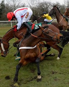 7.5M views · 144K reactions | 24 Most Outstanding Events of Horses Dangerously Attacking Humans Caught on Camera vs老 | Nature World | Facebook