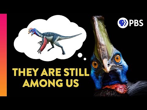 Did Dinosaurs Really Go Extinct?