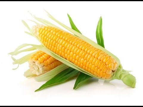 Cuisson épis de maïs