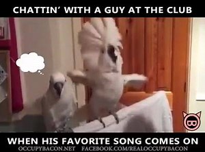 The Picture Magazine on Reels