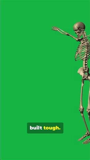 3 Foot Humans Hunted Elephants!