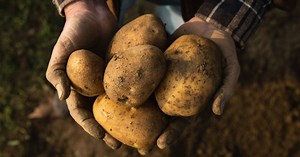 MustGrow targeting high-value vegetables with USDA organic certified-fertilizer TerraSante