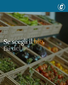 191 reactions · 28 shares | Perché mettere nel carrello della spesa i prodotti da agricoltura biologica? I buoni motivi per farlo sono tanti e vanno tutti nella direzione del benessere e della salute del Pianeta e di chi lo abita, esseri umani inclusi. Chi sceglie bio tutela l’ambiente, rispetta gli animali e fa del bene anche a sé stesso. Scopri di più: https://trib.al/eeUG68c Ismea - Istituto di servizi per il mercato agricolo alimentare | Corriere della Sera | Facebook