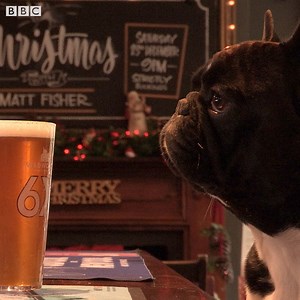 Britain's most dog-friendly pub is right here in Berkshire - The Fox & Hounds Theale 🍺🐶 | BBC Berkshire