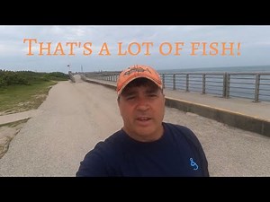 Sabastian Inlet Snorkeling HD 1080p