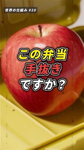 What’s in an American Lunch? 🇺🇸🍱