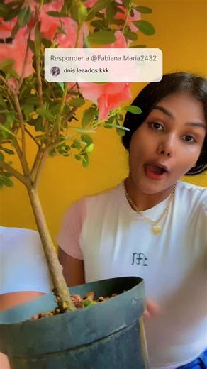 Os vídeos de Edinai Mello (@edinaimello1) com som original - Edinai Mello