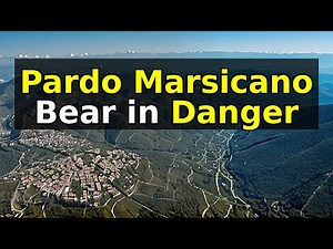 The Brown Bear Marsicano: A Genetic Treasure in Danger