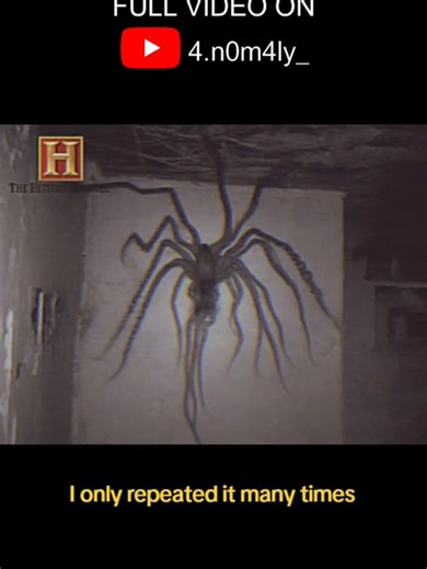 Exploring the Uncanny World of SCP Backrooms