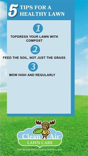 Feed Your Lawn With Compost + 5 Tips For a Healthy Lawn #ecofriendlylawncare #organiclawncare