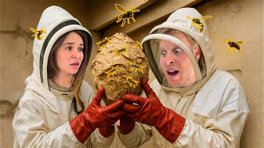 When a home becomes ground zero for a wasp invasion