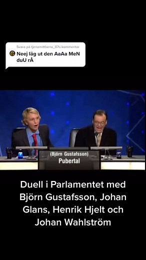 Björn Gustafsson i Parlamentet: En Utmanande Tid