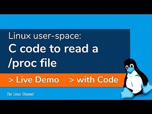 345 C code to read a /proc file in Linux user-space - Live Demo and Example #linux #programming