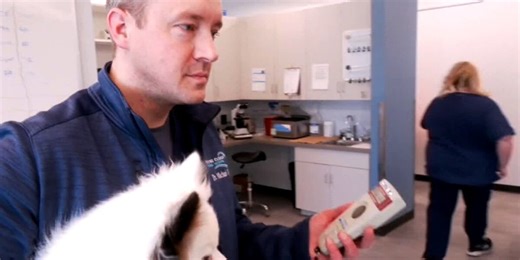 Your pet’s microchip may be inactive, and you may not know it