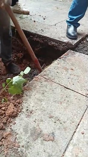 How to Chisel a Concrete Trench Using a Power Tool to Cut Concrete Easy Guide to Open a Concrete