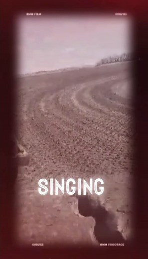 #StarsEverywhere #starsender #viral #trending #LikeFollowShare #racing #reelsviralシ #followus #ND #fyp #happymonday #fblifestyle | Devils Lake Speedway