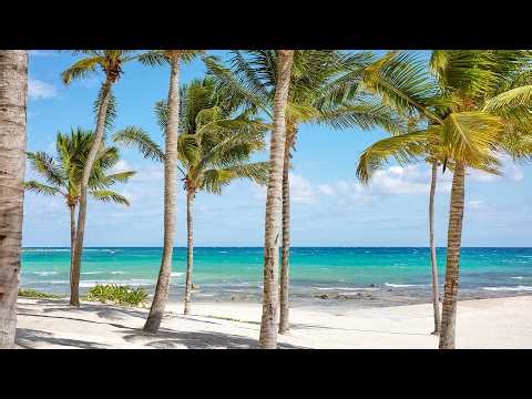 Beachside Bossa Nova: Ocean Waves & Soothing Music for the Ultimate Chill Moment