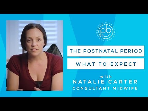 What to Expect in the Postnatal Period | FREE workshop | Midwife Advice | The Positive Birth Company