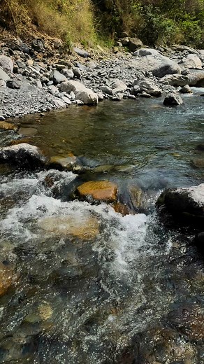 572K views · 2.4K reactions | Amazing catch of two fish with the hands #fishing #handfishing | Its Fishing Time | Facebook