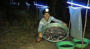 267K views · 268 shares | Cooking crickets Using such ingredients is really delicious. | Lifestyle Phylin Mouth Watering | Facebook