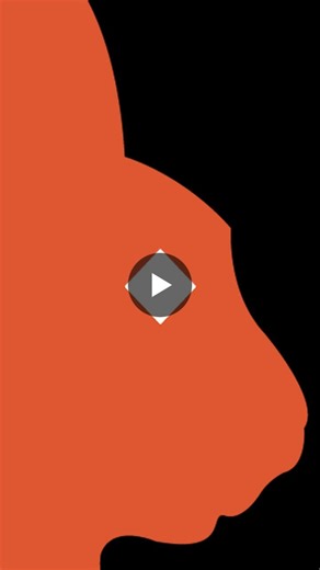 Zed-FULL plus | Aytaç Ersan