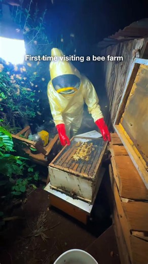 Modern Beekeeping Techniques for Sustainable Farming