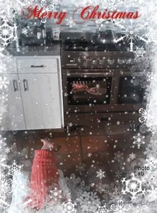 1.5K views · 610 reactions | MERRY CHRISTMAS FROM HAIRLESS NATION Hope your holidays are filled with anticipation and love like our Master Splinter waiting for the Christmas Quiche! Daily ARF-irmation: “The best of all gifts under the Christmas Tree: The presence of a happy family all wrapped up in each other.” ~ Burton Hillis #HairlessNation | Master Splinter | Facebook