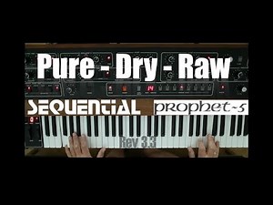 Sequential Prophet 5 Rev. 3 - Pure, dry and raw - 85 sounds