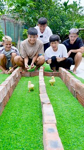 Trò Chơi Thi Đua Vịt Về Đích Nhanh Nhất Sẽ Thắng