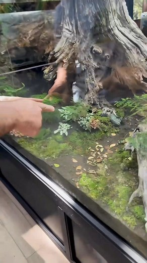 AntsCanada_houses_100,000_of_Ant's勞Got_to_visit_AntsCanada's_home | Dale Bryan | Facebook