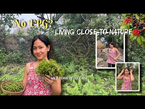 👉 “No LPG? Village Life in Assam 🌿 | Cooking with Firewood & Wild Forest Food”