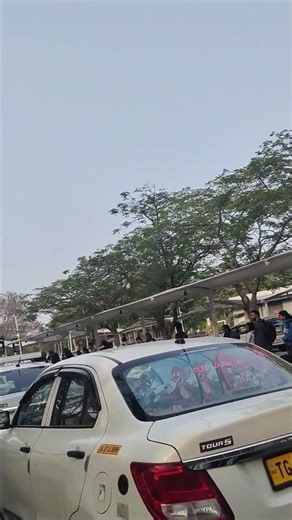 #fillm #honey #duet #folkart #filling