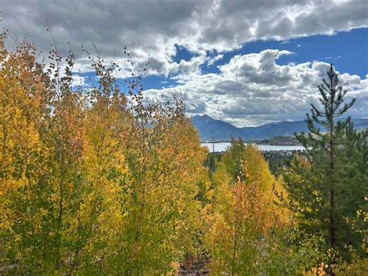 Colorado fall colors: Places, trails to see leaves hitting their peak Sept. 16-23