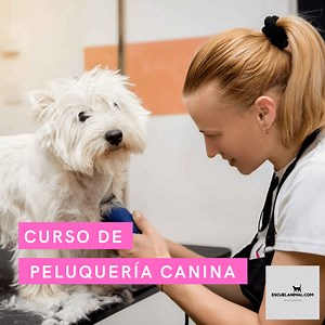Curso de Peluquería canina Online - ESCUELANIMAL