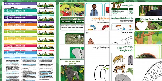 EYFS Jungle and Rainforest Activity Planning and Continuous Provision Ideas and Resource Pack (Reception)