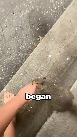 Amazing animal behavior #animals #fyp #reels #trends | Animal Trends